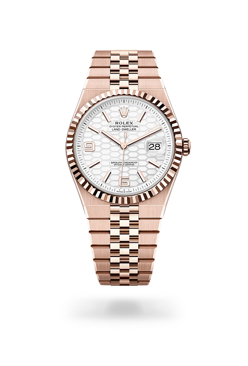 Land-Dweller 40 - Oyster, 40 mm, Everose altın