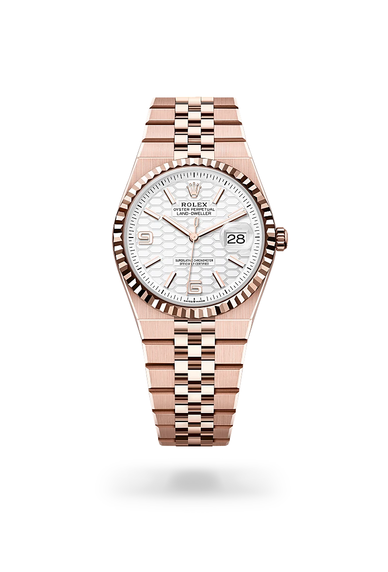 Land-Dweller 36 - Oyster, 36 mm, Everose altın