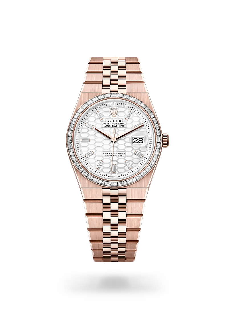 Land-Dweller 36 - Oyster, 36 mm, Everose altın ve pırlanta
