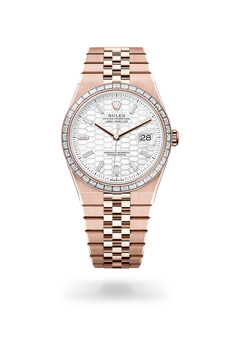 Land-Dweller 40 - Oyster, 40 mm, Everose altın ve pırlanta